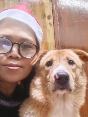 Women from Philippines for dating / Ladies from Philippines for dating